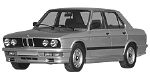 BMW E28 P1F0E Fault Code