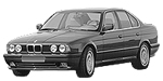 BMW E34 P1F0E Fault Code