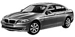 BMW F10 P1F0E Fault Code
